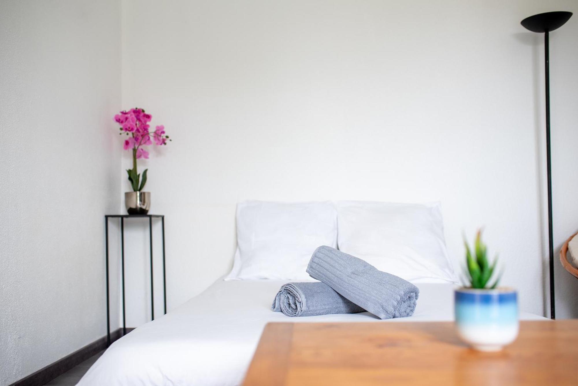 툴루즈 T2 Rangueil - Terrasse + 2 Parkings - 4 Personnes 아파트 외부 사진